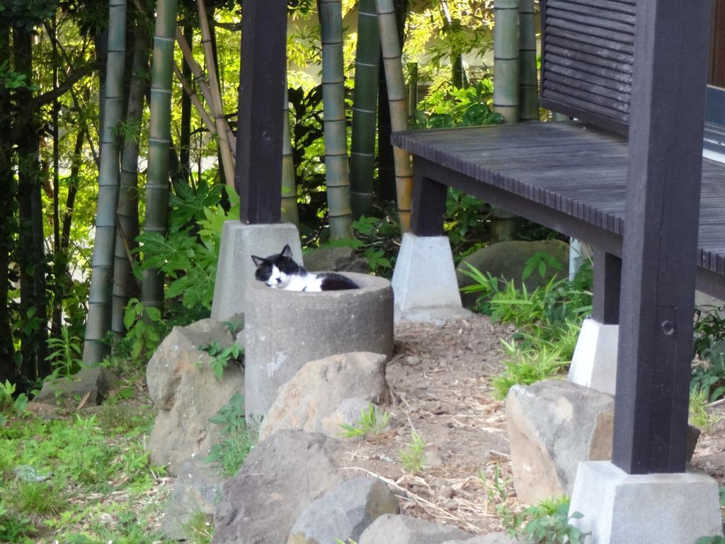 Hotel Ryokan Izuna Atami  Exterior foto